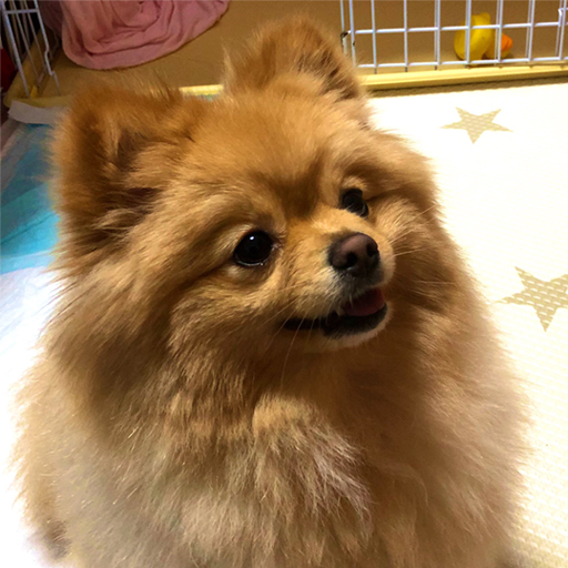 おしゃれなアジアン風照明